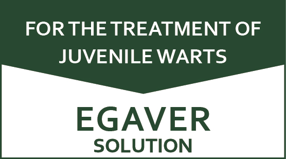 Egaver