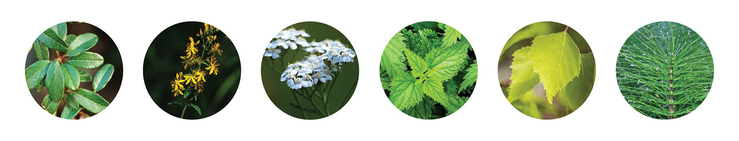 Felfázás - 6 gyógynövény erejével